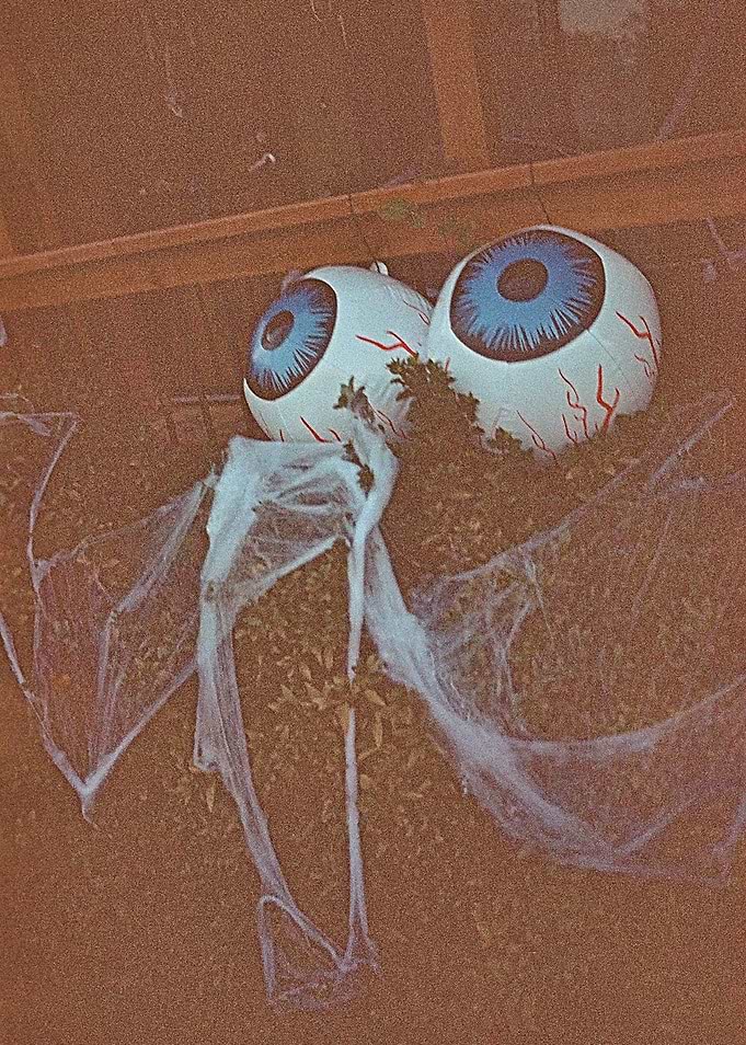 Eye See You