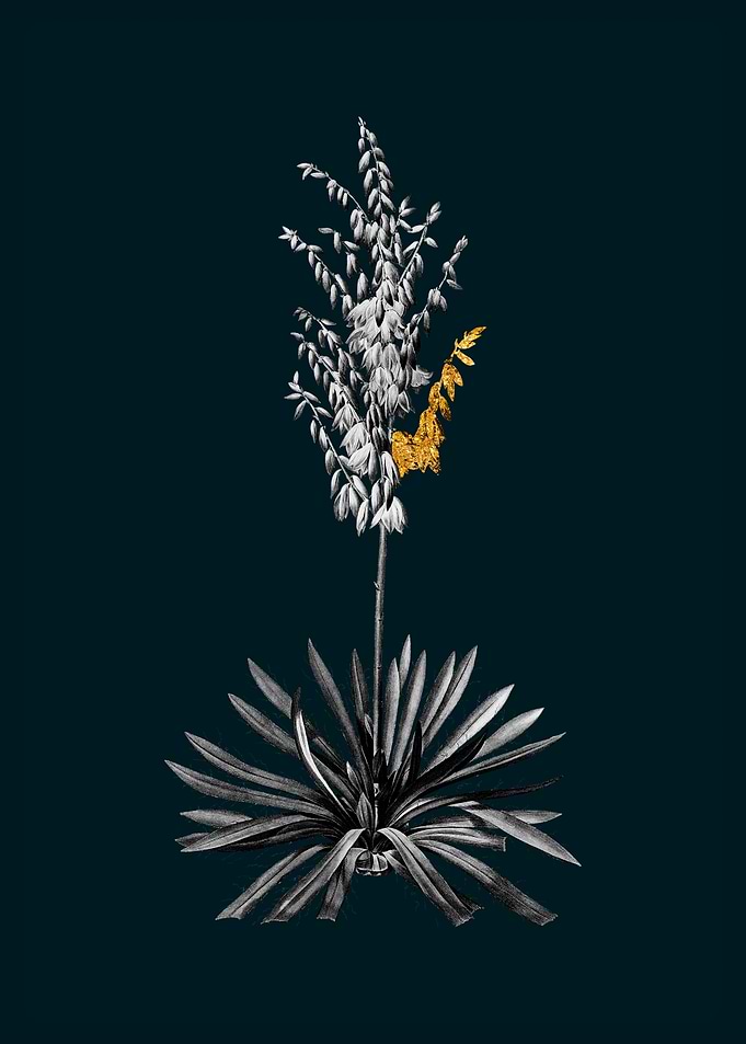Teal and Gold Adam Needle