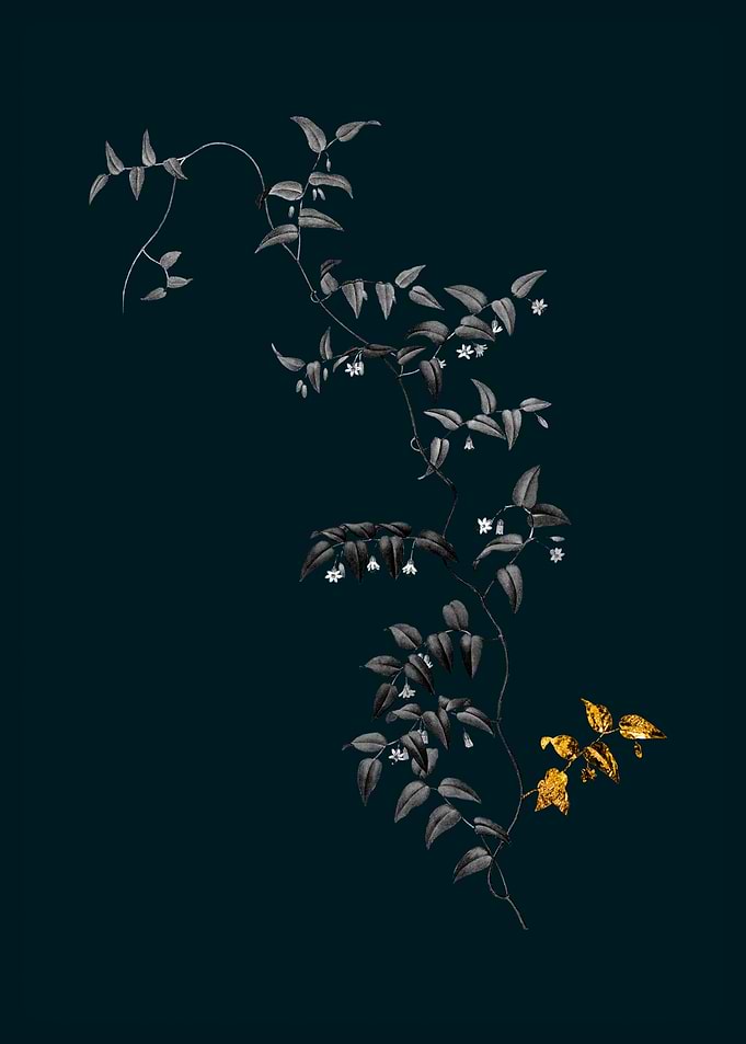 Teal Gold Bridal Creeper