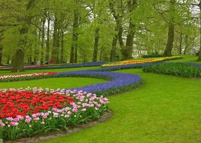 Cebu City Park Phils