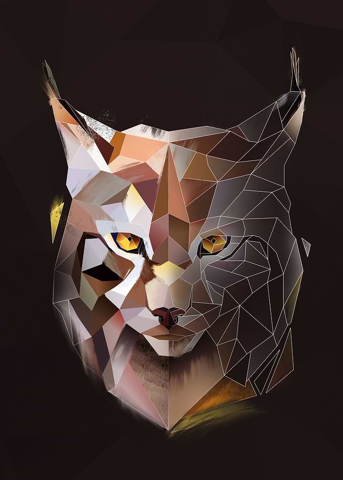 Wild Lynx
