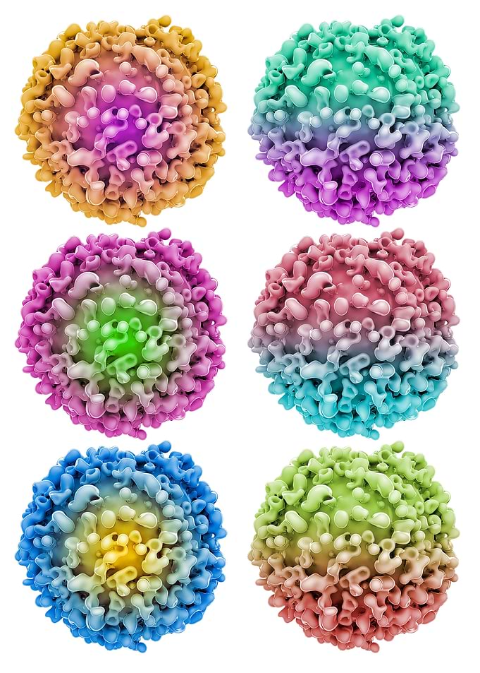Organic cells