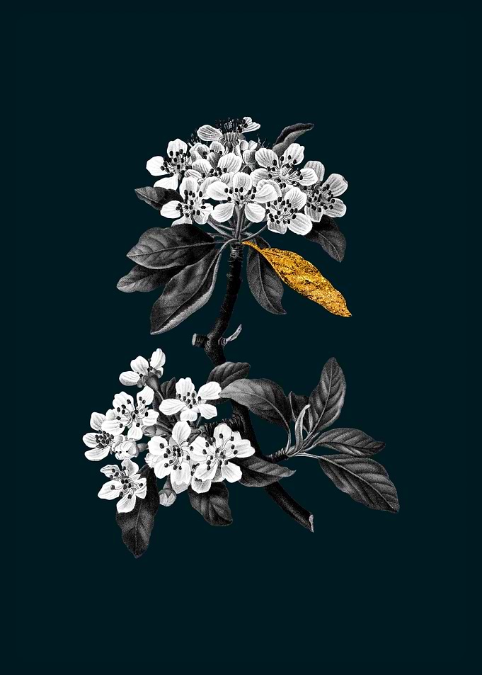 Teal and Gold Almond Pear
