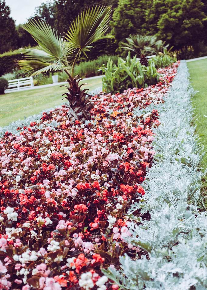 Floral Compostion