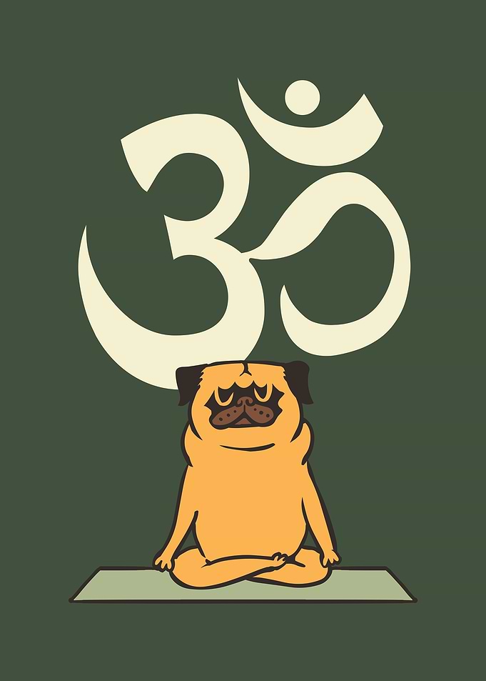 Om Pug