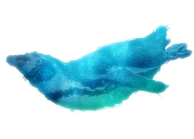 Ocean Blue Penguin