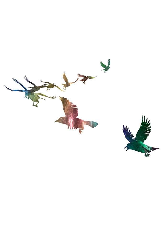 Flock
