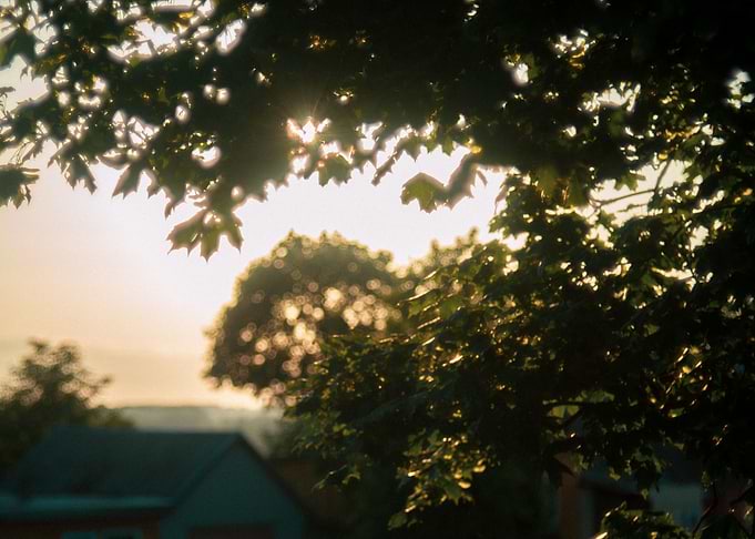 Evening