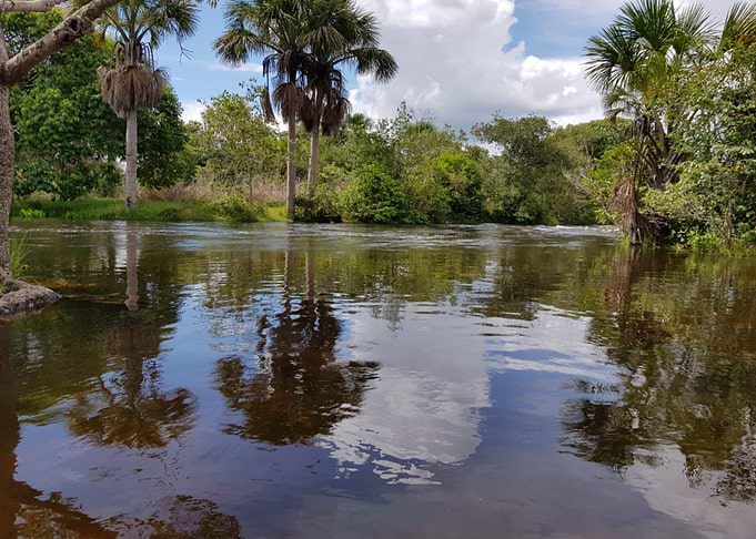Natureza do Brazil
