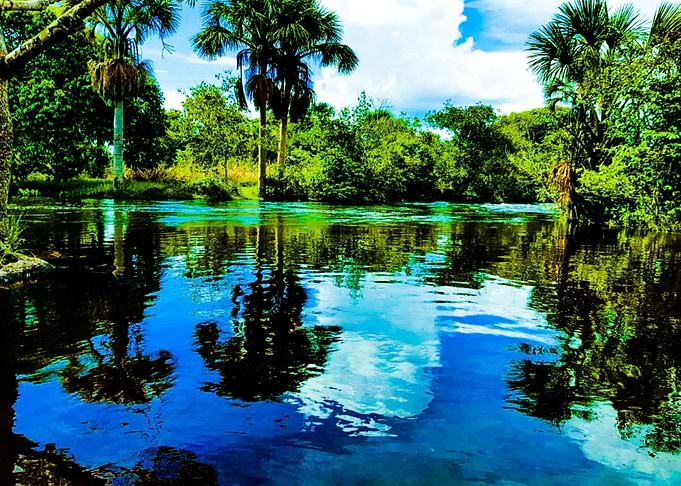 Paisagem do Brazil