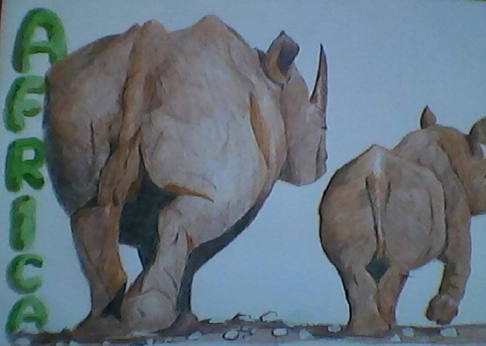 Rhino