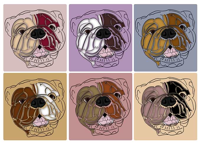 For the love of Bulldogs