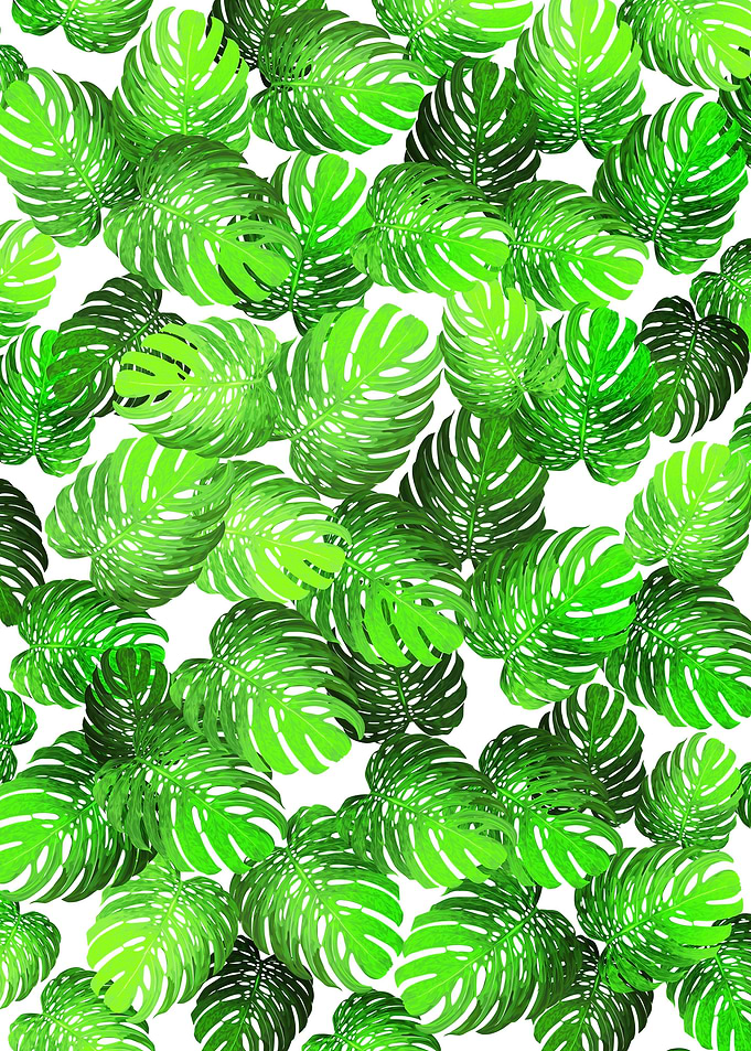 Monstrous Leaf Pattern