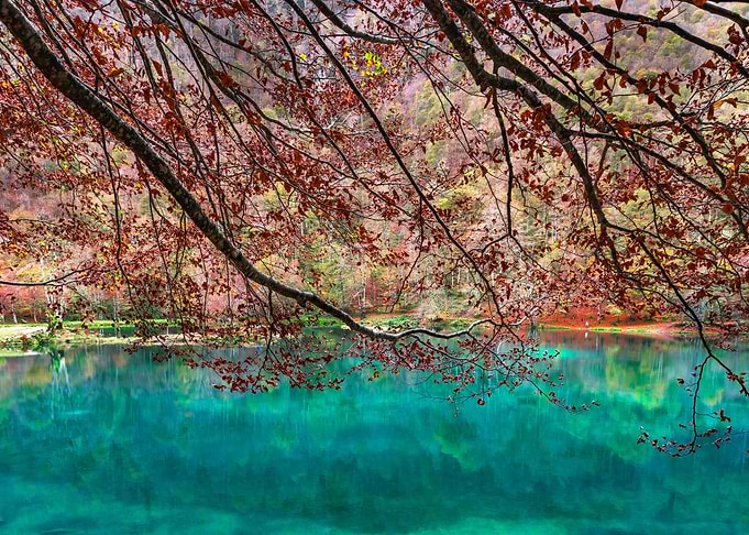 Beautiful cyan water