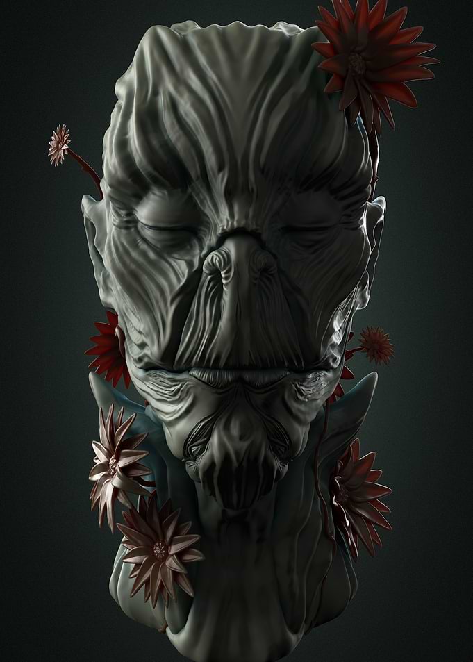 Elder Bark