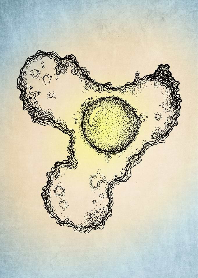 Island Of Yolk color