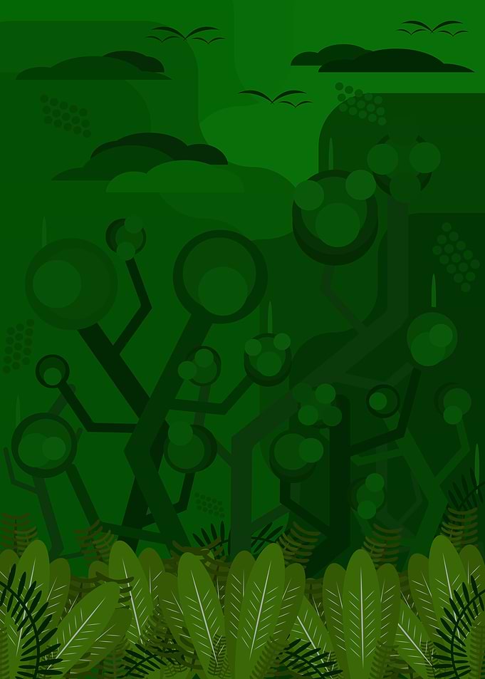 The Aesthetics of Jungle