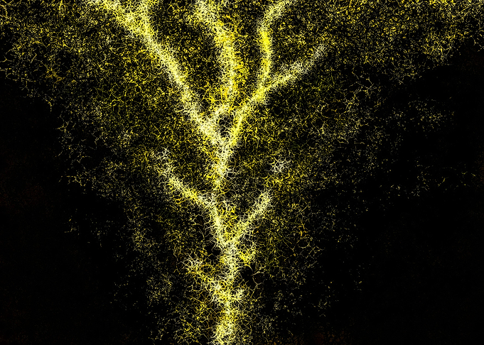 Lightning Bolt