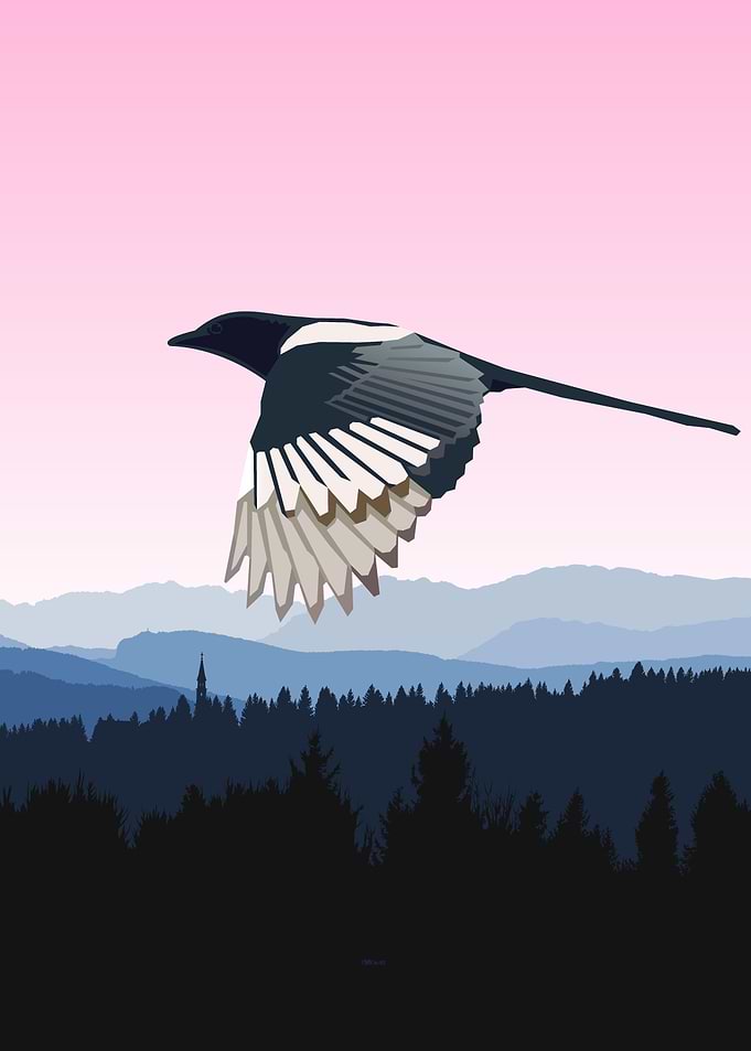 Bird and The Landscape