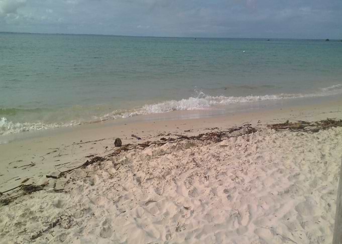 Praia Gamboa Morro Bahia