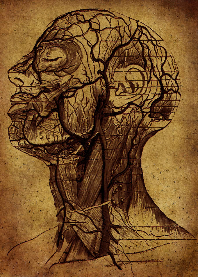 ANATOMIC 0