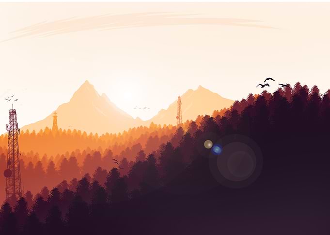 Sunset at Forest