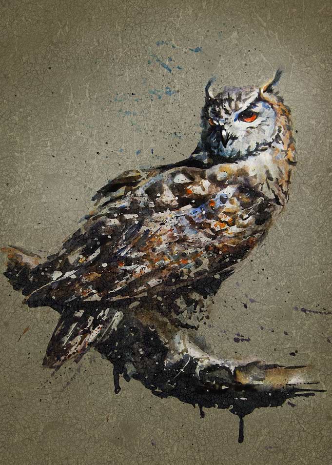 Owl watercolor painting