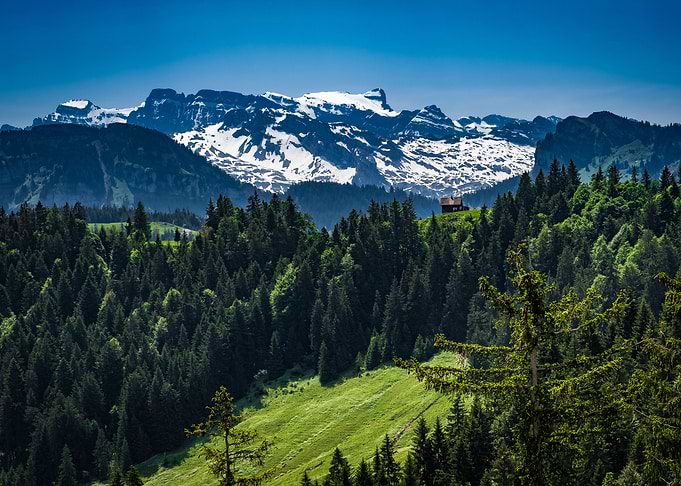 Swiss Alps