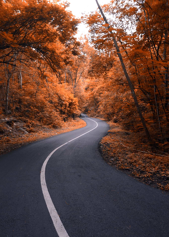 life is a way