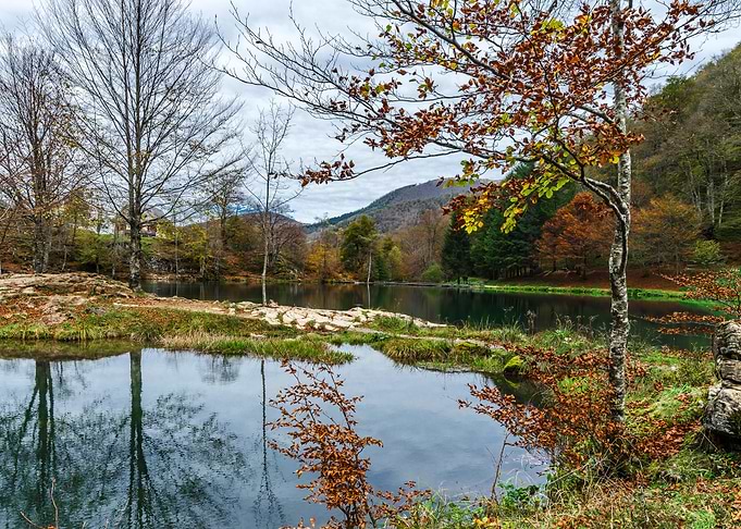 Natural autumnal landscape