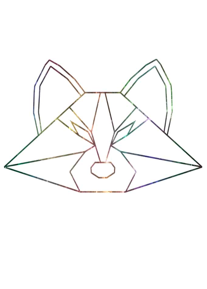 Raccoon