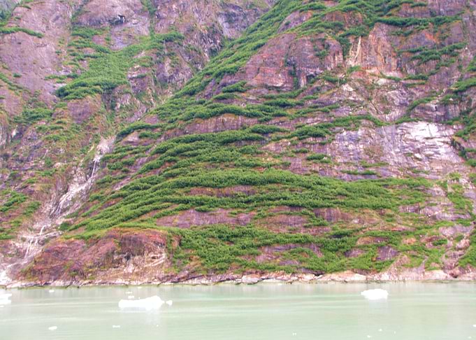 Alaskan Beauty