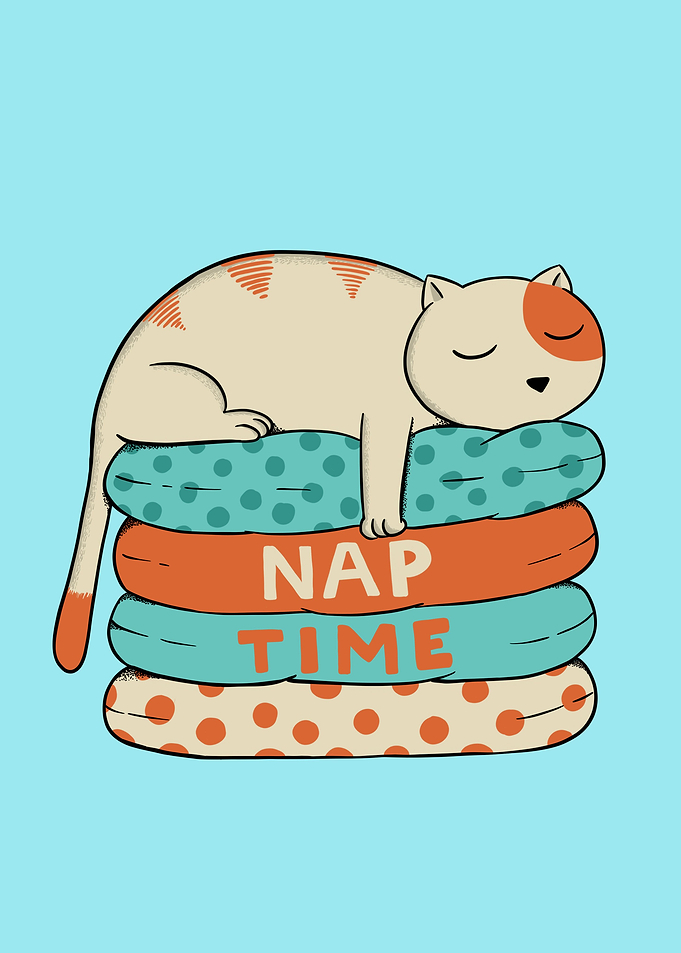Cat nap time