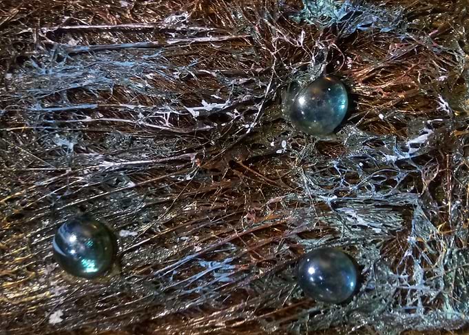 Wood decay series