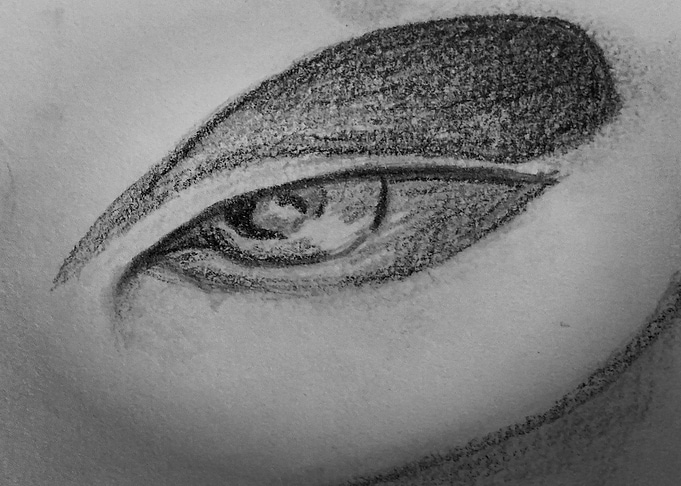 Eye