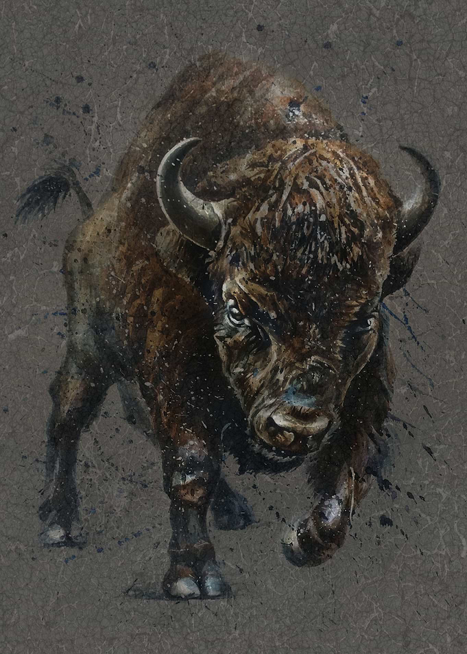 Buffalo brown