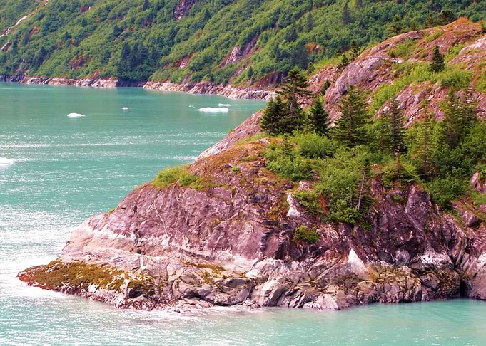 Alaskan Beauty