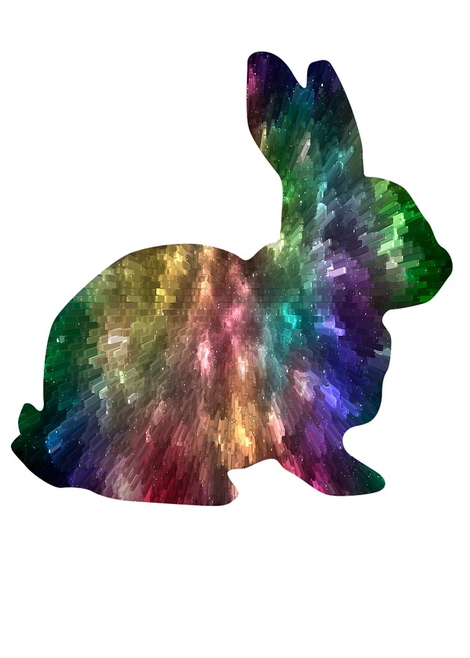 Space rabbit