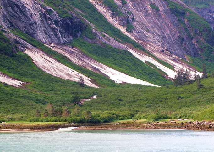 Alaskan Beauty