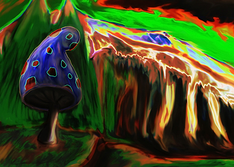 Mushrooms perspective