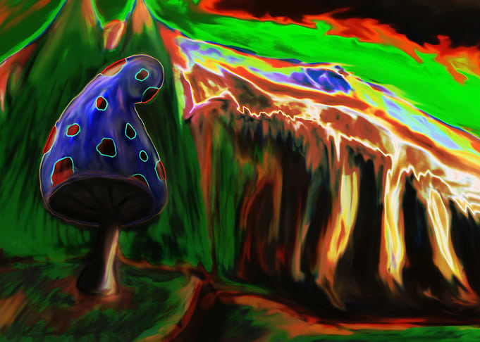 Mushrooms perspective