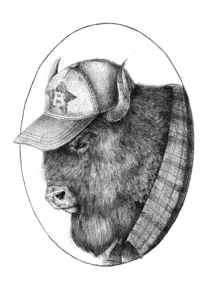 Mcbison
