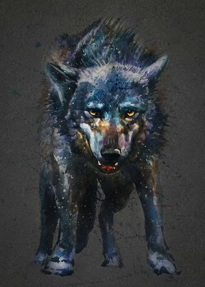 Wolf last fight