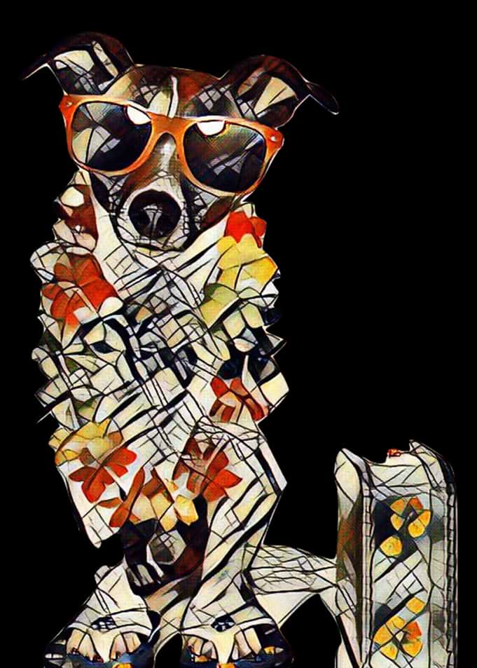 dog travel vacation