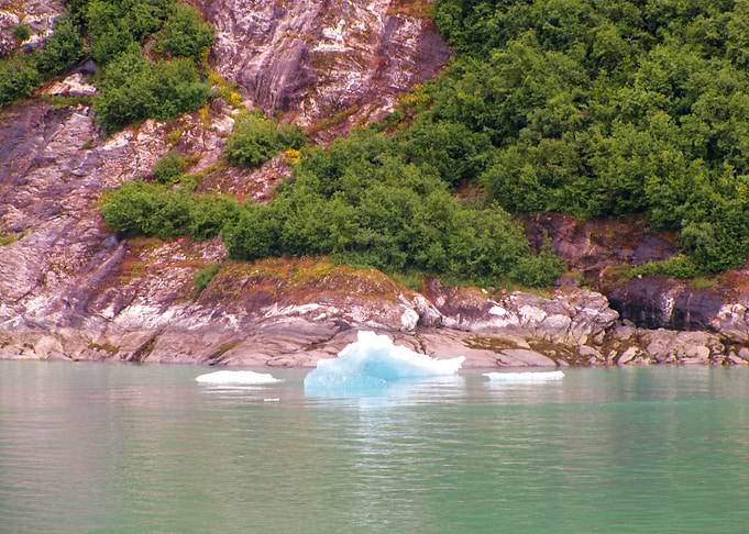Alaskan Beauty
