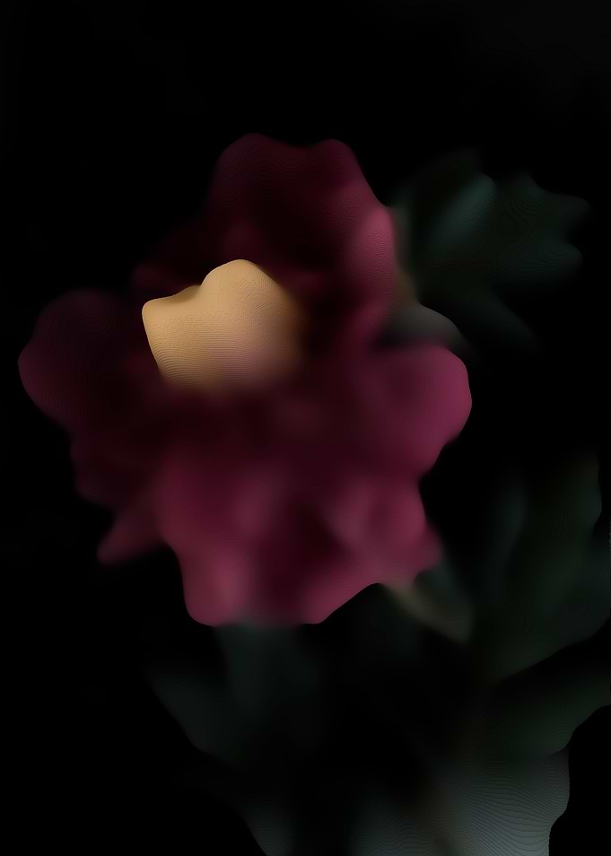 Pink peony