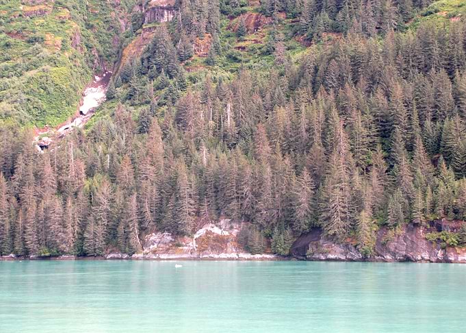Alaskan Beauty