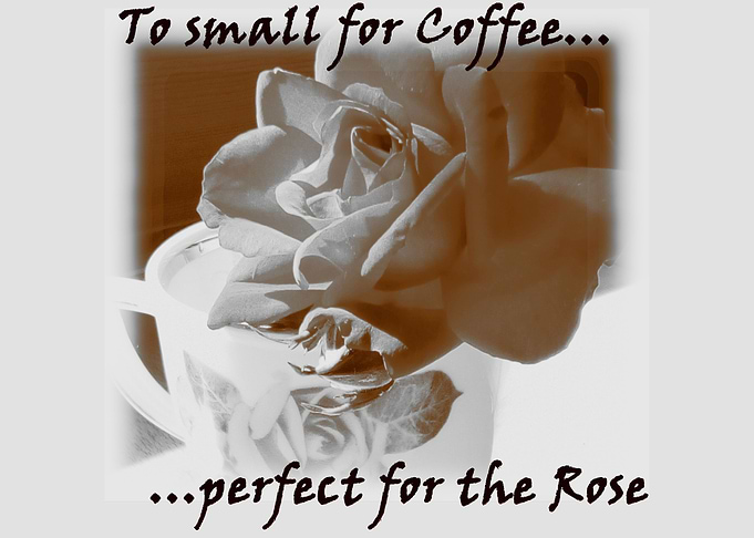 The Rose and the Cup