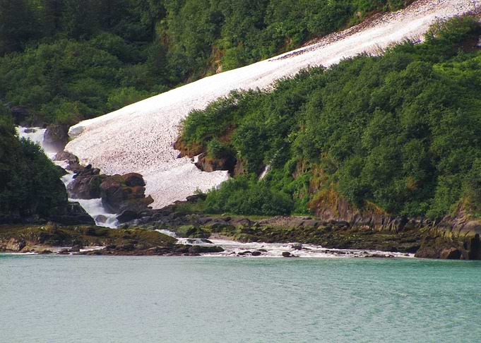 Alaskan Beauty