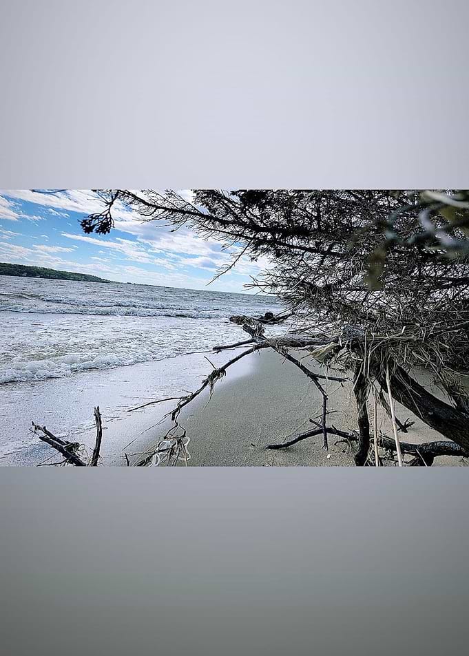 beach